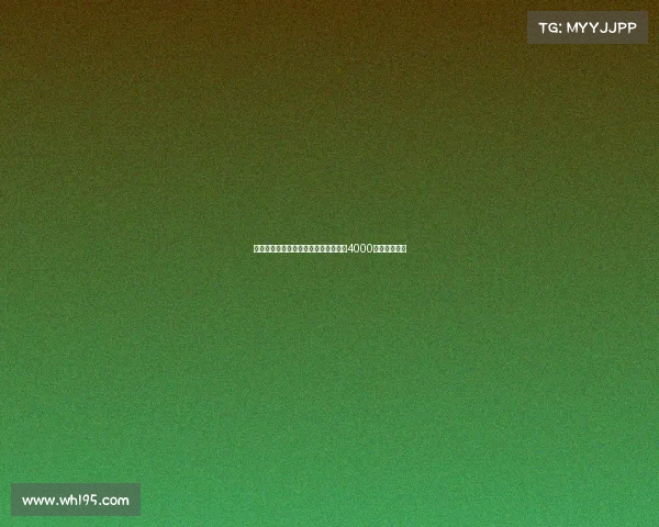 罗马诺曝利物浦关注莱昂尼帕尔马开价4000万欧暂无进展