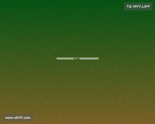 英超所有俱乐部青训基地达到CAT 4级标准推动足球青训发展新格局